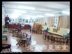 北京帝星畫室 專業(yè)藝術(shù)教育的璀璨之星